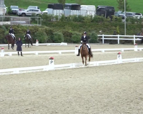 Reitturnier St. Margarethen 2024