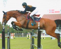 Springpferd Babeloub Vh Roelhof Z (Zangersheide Reitpferd, 2005, von Balou du Rouet)
