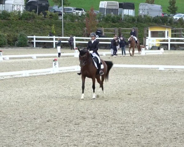 Reitturnier St. Margarethen 2024