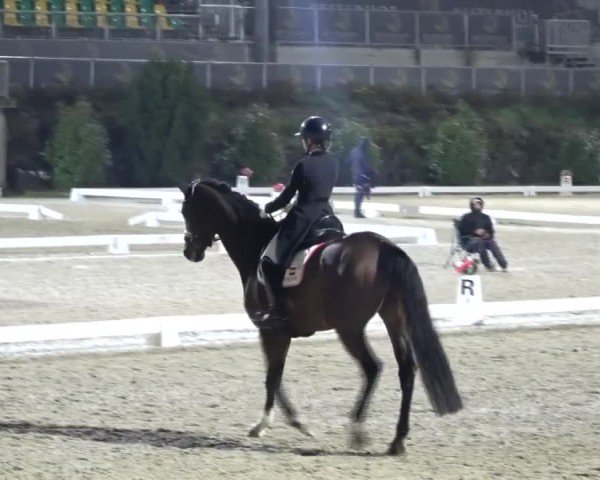 Reitturnier St. Margarethen 2024