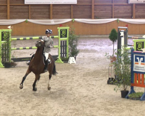 Reitturnier Xanten - Reitanlage Miss 2024