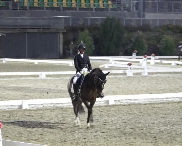Reitturnier St. Margarethen 2024