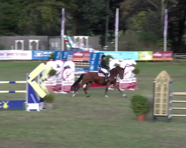 Reitturnier Scharnebeck 2024