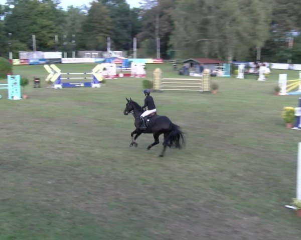 Reitturnier Scharnebeck 2024