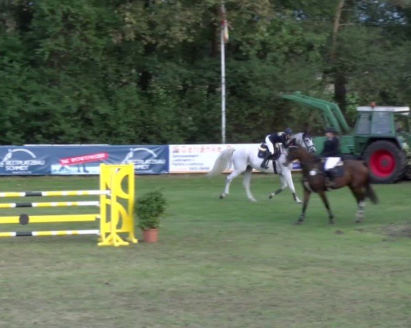 Reitturnier Scharnebeck 2024