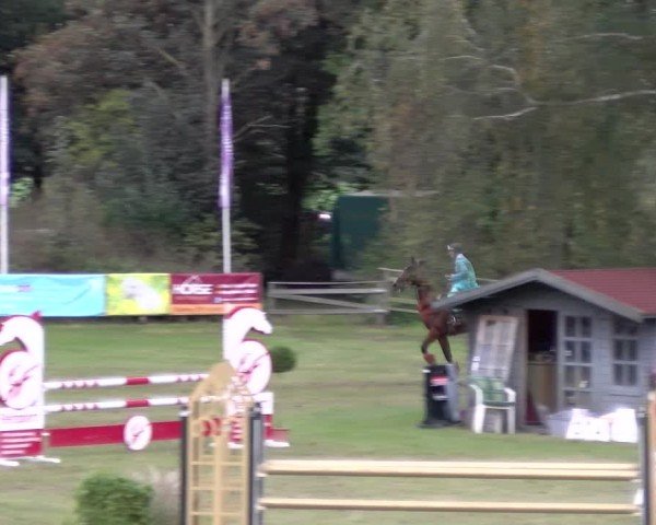 Reitturnier Scharnebeck 2024
