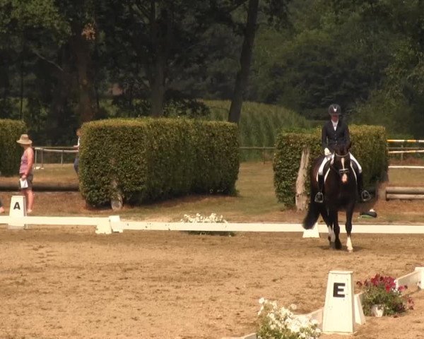 Reitturnier Münster-Handorf 2013