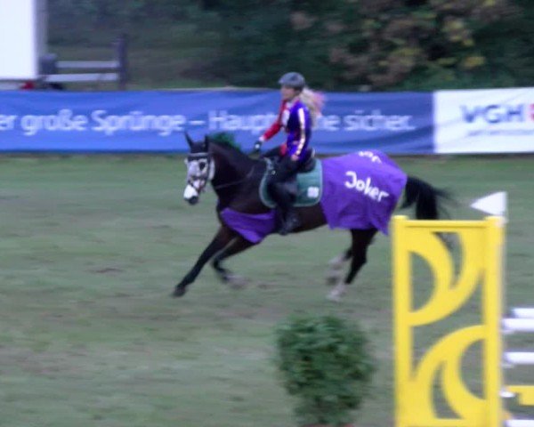 Reitturnier Scharnebeck 2024
