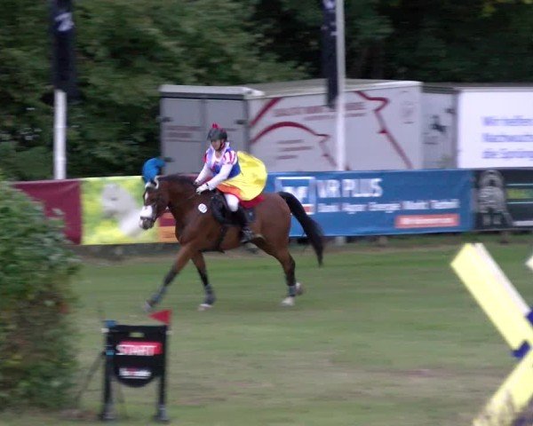 Reitturnier Scharnebeck 2024