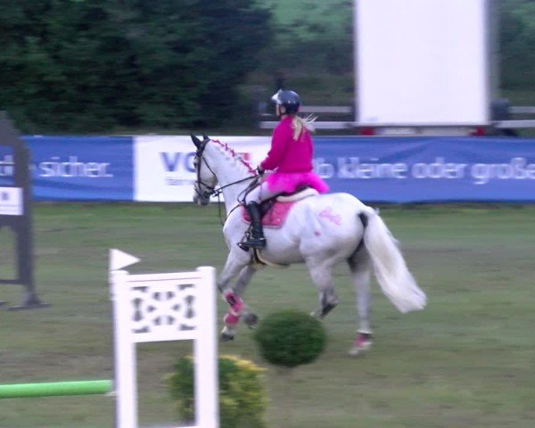 Reitturnier Scharnebeck 2024