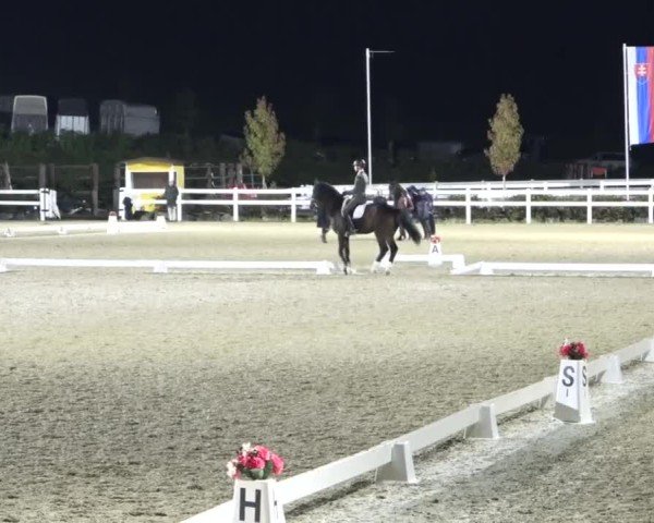 Reitturnier St. Margarethen 2024