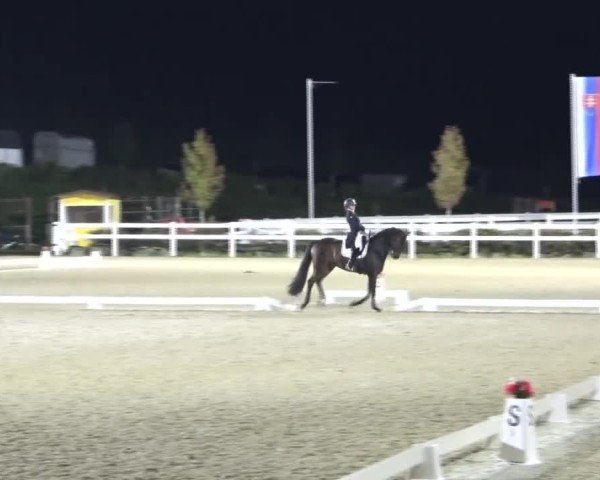 Reitturnier St. Margarethen 2024