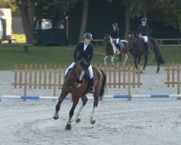 Reitturnier Pietzpuhl 2024