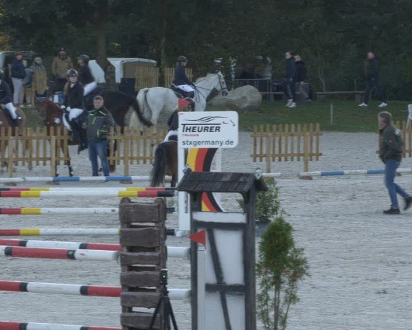 Reitturnier Pietzpuhl 2024