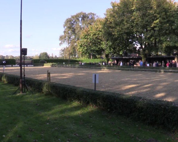 Reitturnier Bottrop-Kirchhellen 2024