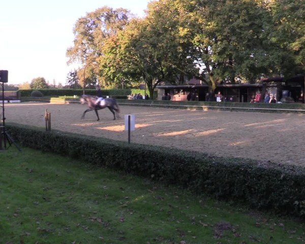Reitturnier Bottrop-Kirchhellen 2024