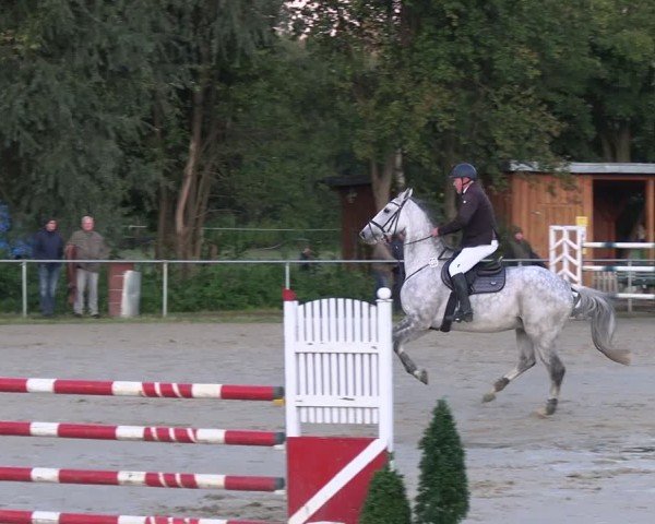 Reitturnier Kamen 2024