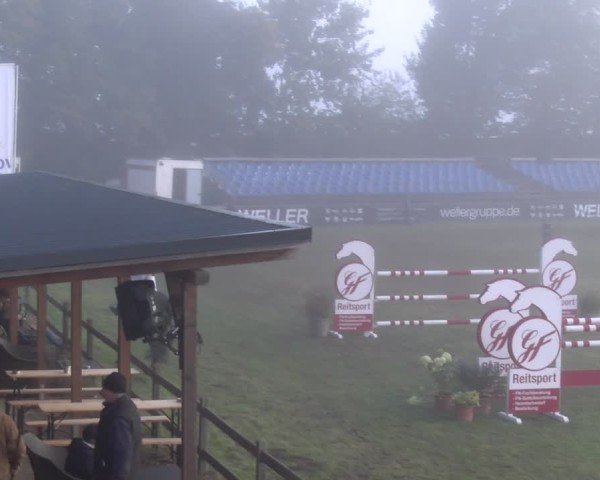 Reitturnier Scharnebeck 2024