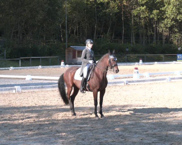 Reitturnier Igls 2024