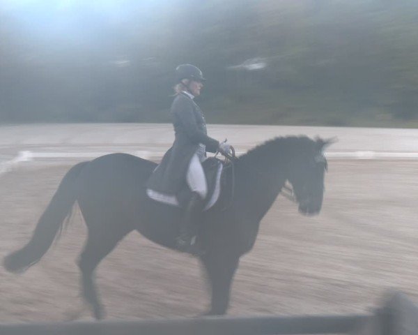 Reitturnier Igls 2024