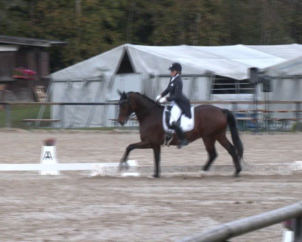 Reitturnier Igls 2024