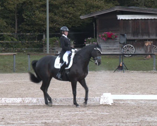 Reitturnier Igls 2024
