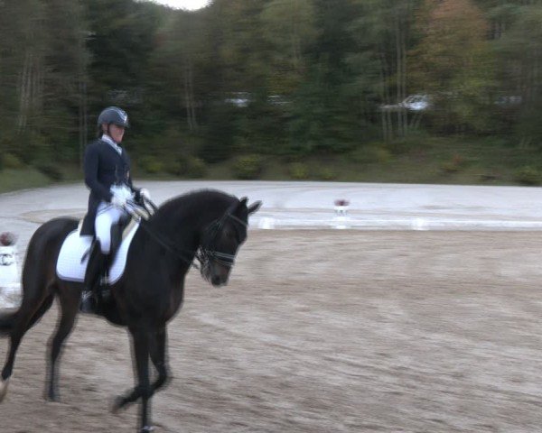 Reitturnier Igls 2024