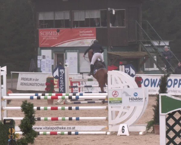 Reitturnier Ranshofen - Braunau am Inn 2024