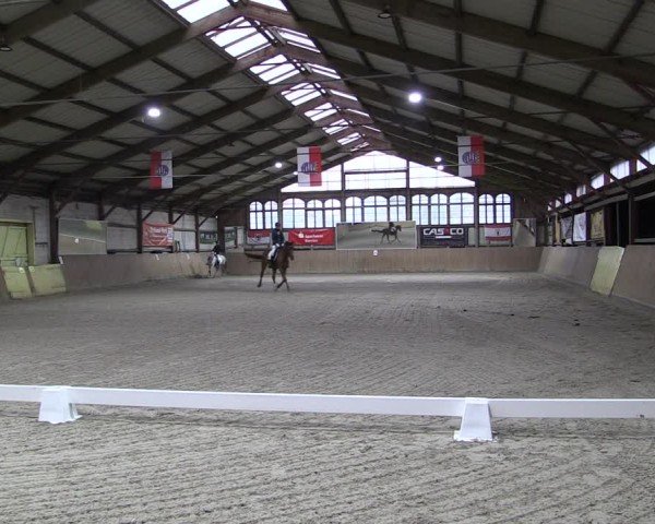 Reitturnier Elisenau 2024