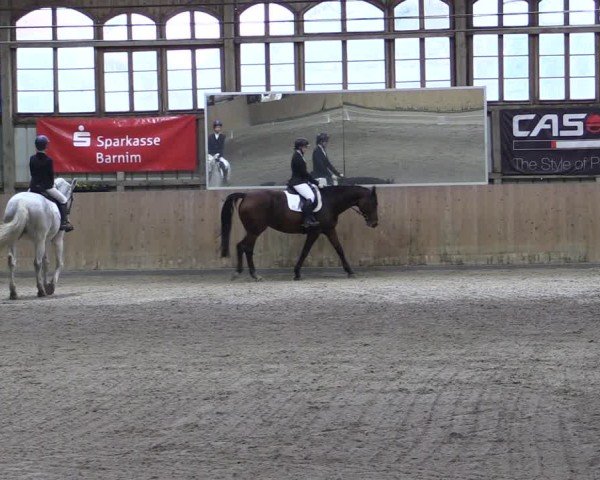 Reitturnier Elisenau 2024