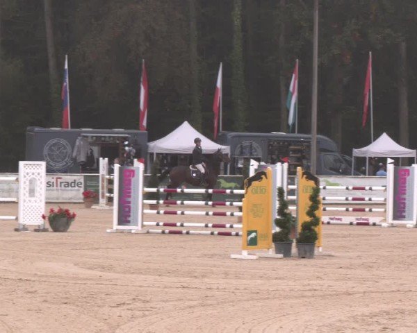 Reitturnier Ranshofen - Braunau am Inn 2024