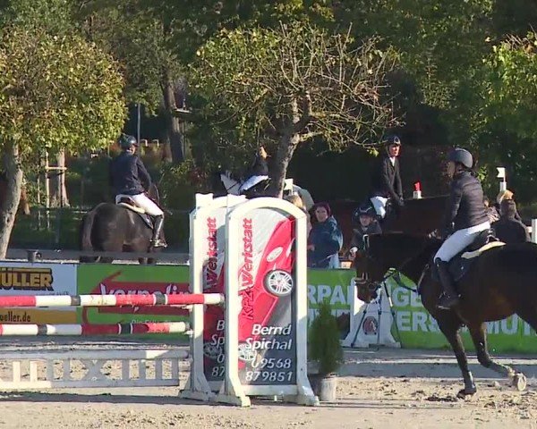 Reitturnier Frankenhof-Sonnefeld/Ofr. 2024