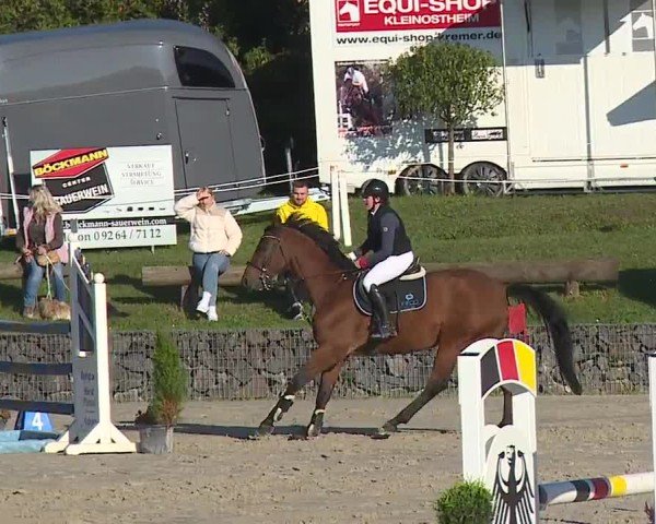 Reitturnier Frankenhof-Sonnefeld/Ofr. 2024