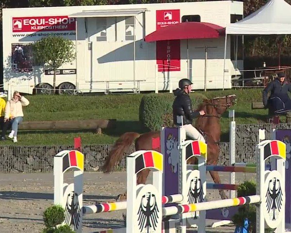 Reitturnier Frankenhof-Sonnefeld/Ofr. 2024