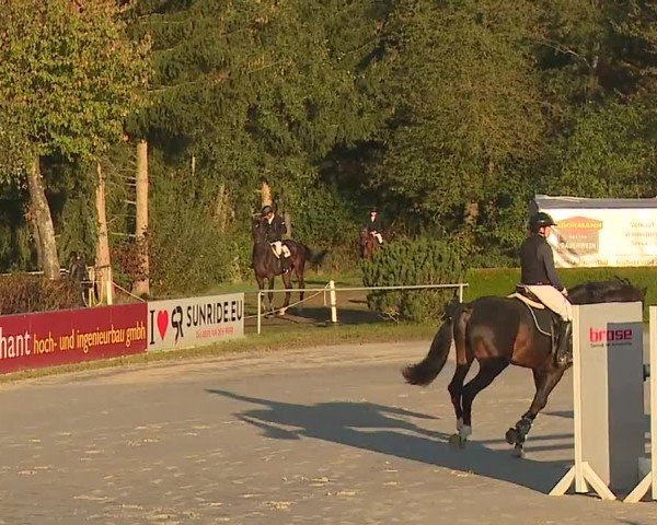 Reitturnier Frankenhof-Sonnefeld/Ofr. 2024