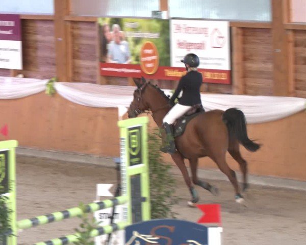 Reitturnier Xanten - Reitanlage Miss 2024