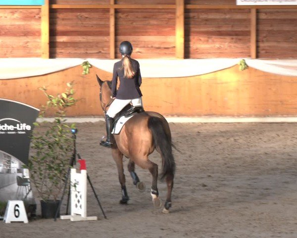Reitturnier Xanten - Reitanlage Miss 2024