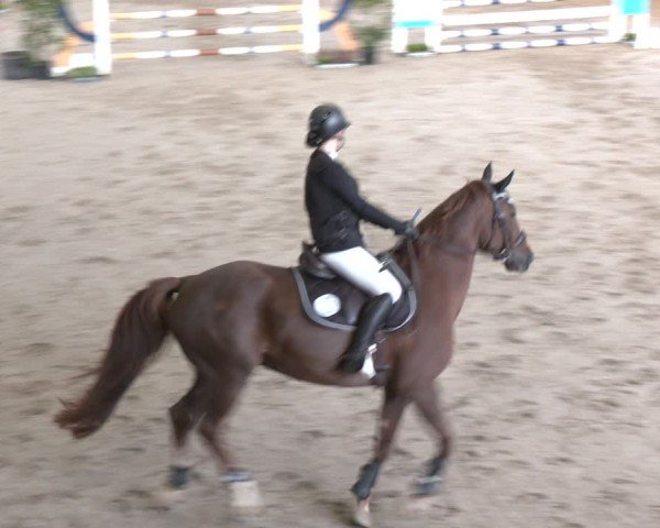 Reitturnier Xanten - Reitanlage Miss 2024