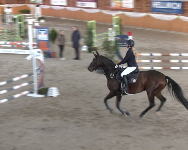 Reitturnier Xanten - Reitanlage Miss 2024