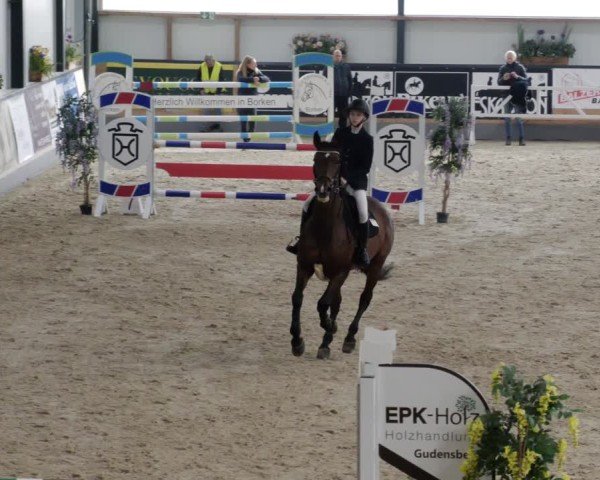 Reitturnier Borken 2024