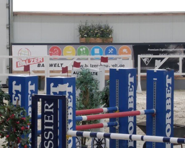 Reitturnier Borken 2024