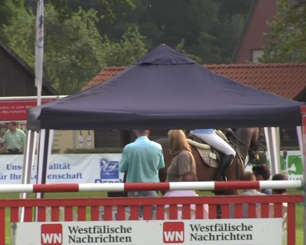 Reitturnier Münster-Handorf 2013
