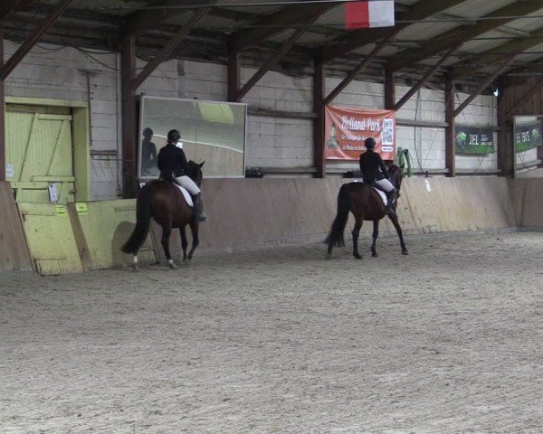 Reitturnier Elisenau 2024