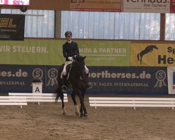Reitturnier Isterberg 2024