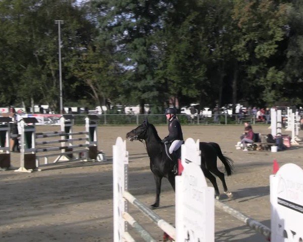 Reitturnier Kamen 2024