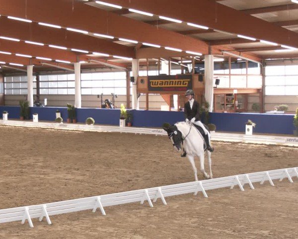 Reitturnier Isterberg 2024