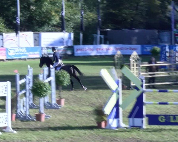 Reitturnier Scharnebeck 2024