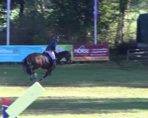 Reitturnier Scharnebeck 2024