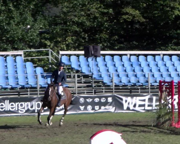 Reitturnier Scharnebeck 2024