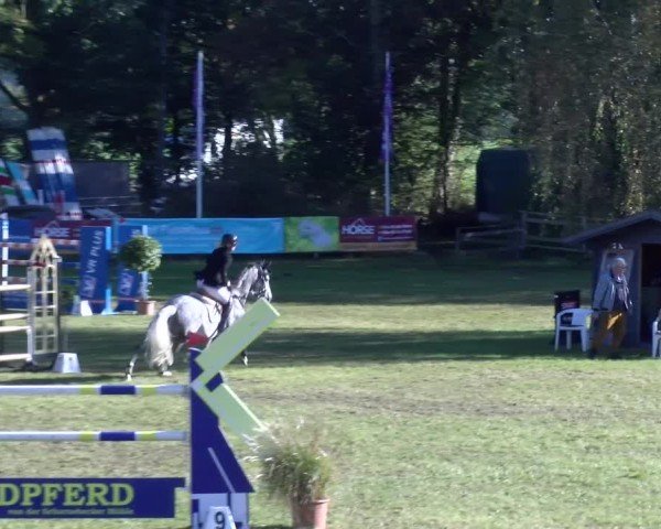 Reitturnier Scharnebeck 2024